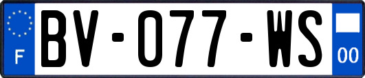 BV-077-WS