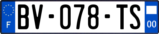 BV-078-TS