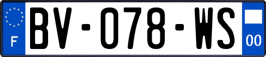 BV-078-WS