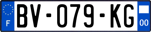 BV-079-KG