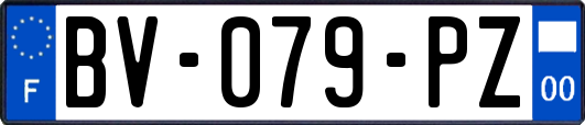 BV-079-PZ