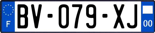 BV-079-XJ