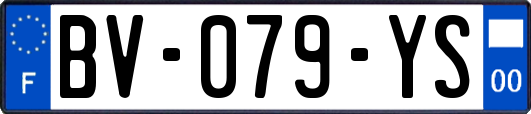 BV-079-YS