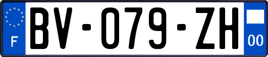 BV-079-ZH