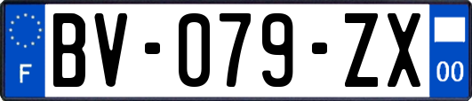 BV-079-ZX