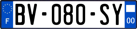 BV-080-SY