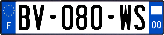 BV-080-WS