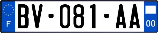 BV-081-AA