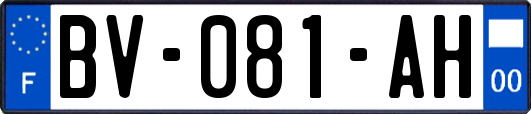 BV-081-AH