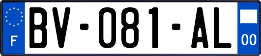 BV-081-AL