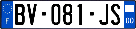 BV-081-JS