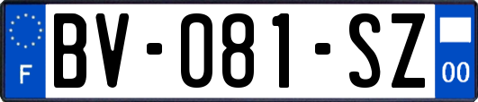 BV-081-SZ