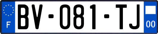 BV-081-TJ