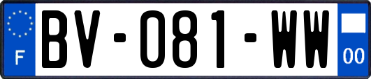 BV-081-WW