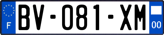 BV-081-XM