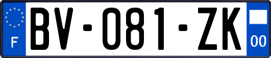 BV-081-ZK