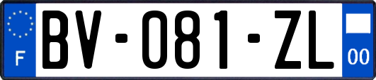 BV-081-ZL