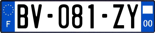 BV-081-ZY