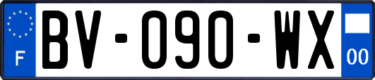 BV-090-WX