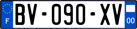 BV-090-XV