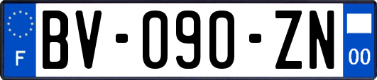 BV-090-ZN