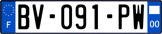 BV-091-PW