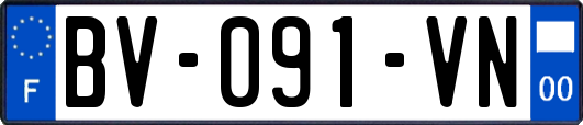 BV-091-VN