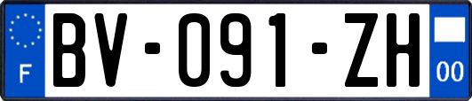 BV-091-ZH