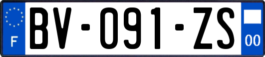 BV-091-ZS