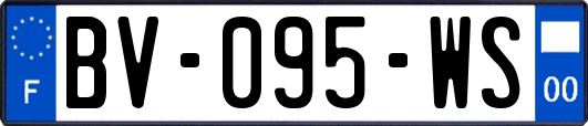 BV-095-WS