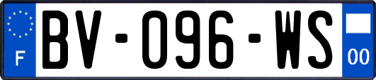 BV-096-WS