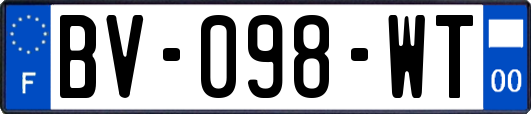 BV-098-WT