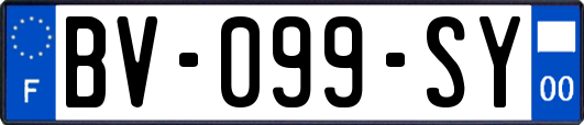 BV-099-SY