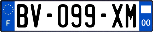BV-099-XM