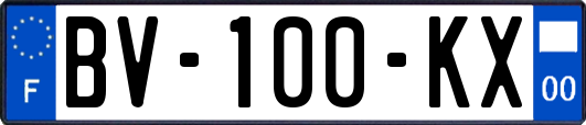 BV-100-KX
