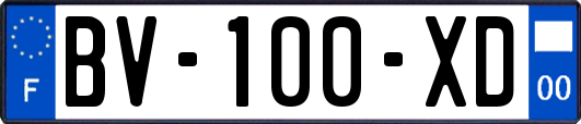BV-100-XD