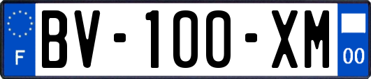 BV-100-XM