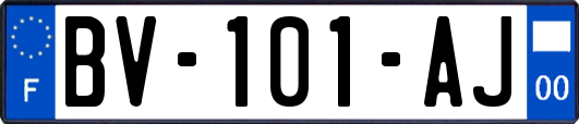 BV-101-AJ