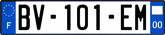BV-101-EM