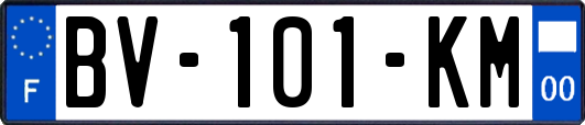 BV-101-KM