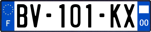 BV-101-KX