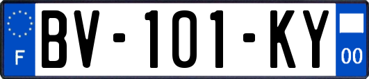 BV-101-KY