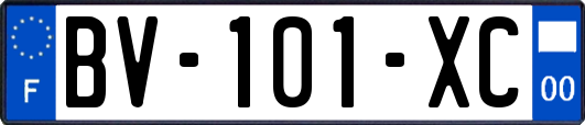 BV-101-XC