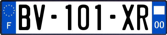 BV-101-XR