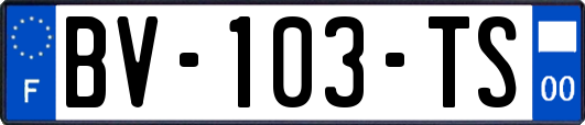 BV-103-TS