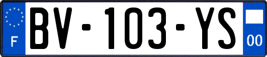 BV-103-YS