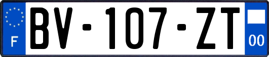 BV-107-ZT