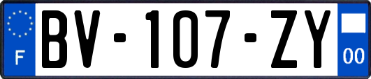 BV-107-ZY