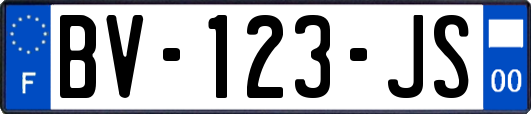 BV-123-JS