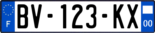 BV-123-KX